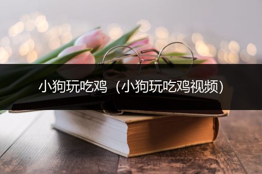 小狗玩吃鸡（小狗玩吃鸡视频）