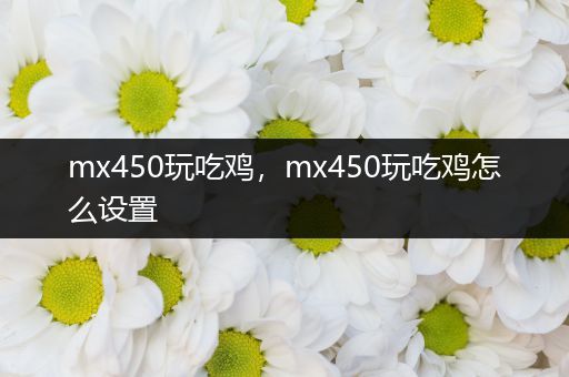 mx450玩吃鸡，mx450玩吃鸡怎么设置