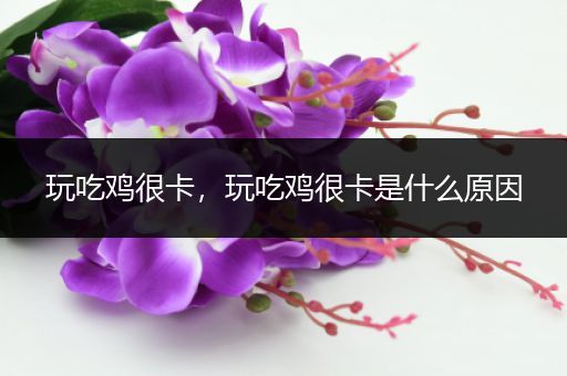 玩吃鸡很卡，玩吃鸡很卡是什么原因