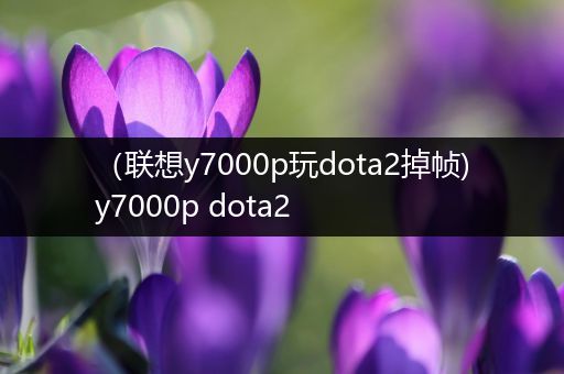 （联想y7000p玩dota2掉帧)y7000p dota2
