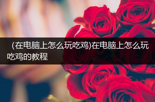 （在电脑上怎么玩吃鸡)在电脑上怎么玩吃鸡的教程