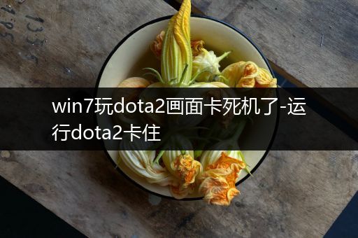 win7玩dota2画面卡死机了-运行dota2卡住