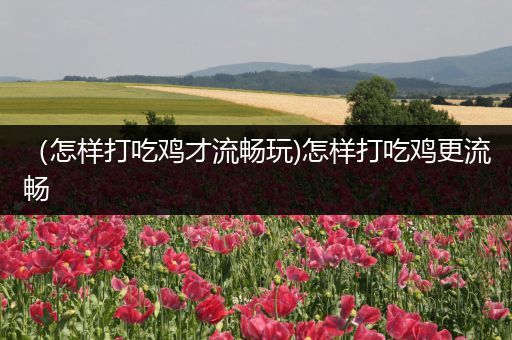 （怎样打吃鸡才流畅玩)怎样打吃鸡更流畅