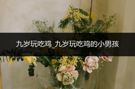 九岁玩吃鸡_九岁玩吃鸡的小男孩