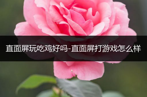 直面屏玩吃鸡好吗-直面屏打游戏怎么样