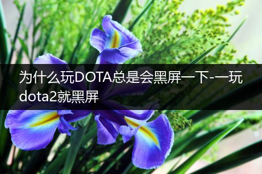 为什么玩DOTA总是会黑屏一下-一玩dota2就黑屏