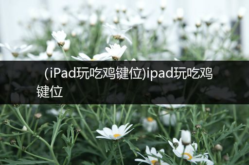 （iPad玩吃鸡键位)ipad玩吃鸡键位