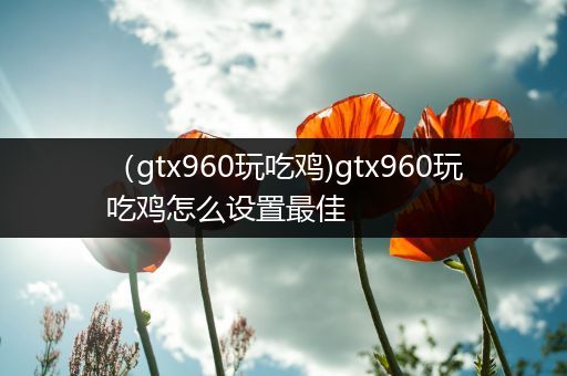 （gtx960玩吃鸡)gtx960玩吃鸡怎么设置最佳