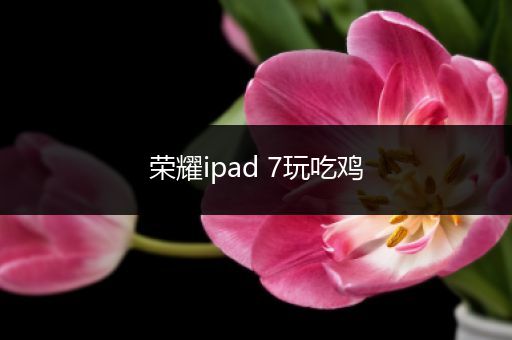 荣耀ipad 7玩吃鸡