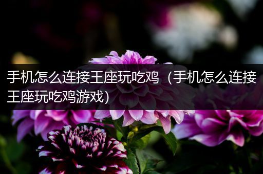 手机怎么连接王座玩吃鸡（手机怎么连接王座玩吃鸡游戏）