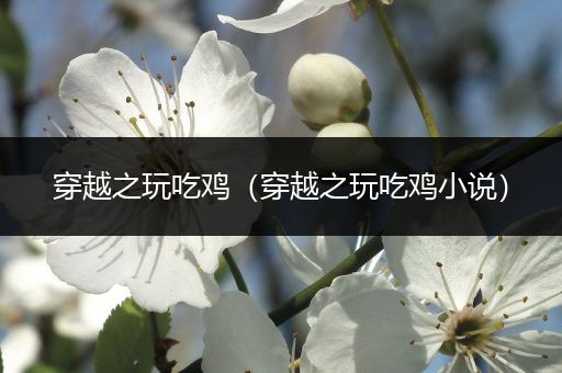 穿越之玩吃鸡（穿越之玩吃鸡小说）