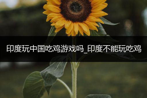 印度玩中国吃鸡游戏吗_印度不能玩吃鸡