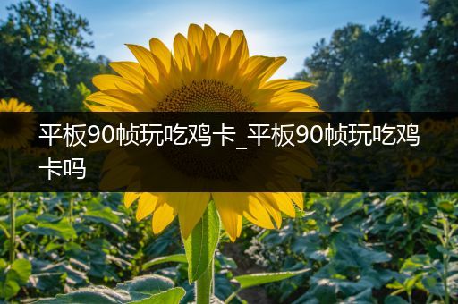 平板90帧玩吃鸡卡_平板90帧玩吃鸡卡吗