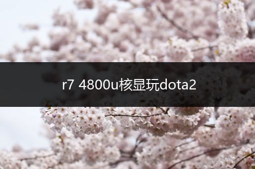 r7 4800u核显玩dota2