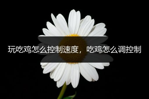 玩吃鸡怎么控制速度，吃鸡怎么调控制