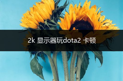 2k 显示器玩dota2 卡顿