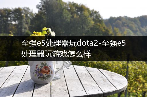 至强e5处理器玩dota2-至强e5处理器玩游戏怎么样