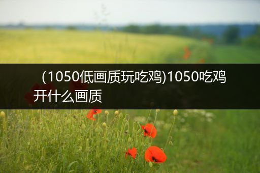 （1050低画质玩吃鸡)1050吃鸡开什么画质