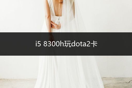 i5 8300h玩dota2卡