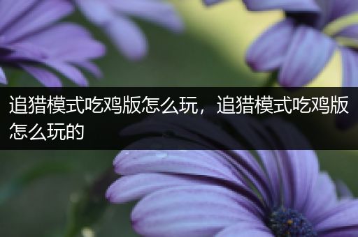 追猎模式吃鸡版怎么玩，追猎模式吃鸡版怎么玩的