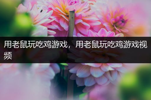 用老鼠玩吃鸡游戏，用老鼠玩吃鸡游戏视频