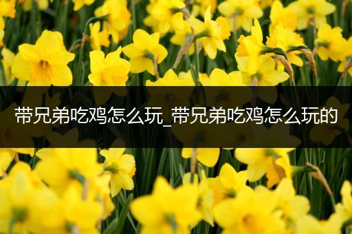 带兄弟吃鸡怎么玩_带兄弟吃鸡怎么玩的