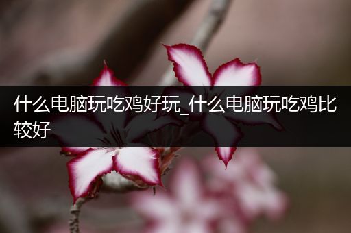 什么电脑玩吃鸡好玩_什么电脑玩吃鸡比较好