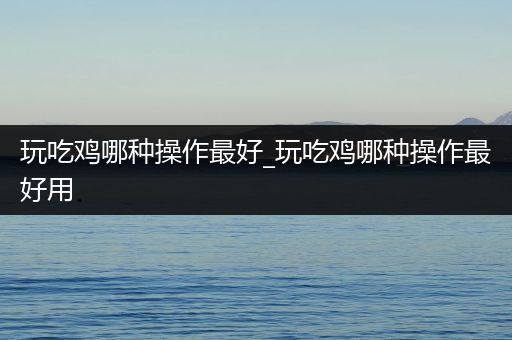 玩吃鸡哪种操作最好_玩吃鸡哪种操作最好用