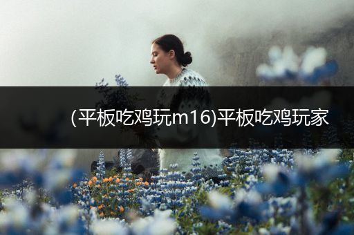 （平板吃鸡玩m16)平板吃鸡玩家