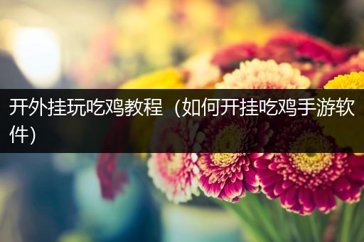开外挂玩吃鸡教程（如何开挂吃鸡手游软件）