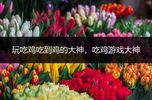 玩吃鸡吃到鸡的大神，吃鸡游戏大神