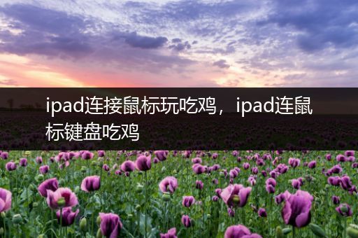 ipad连接鼠标玩吃鸡，ipad连鼠标键盘吃鸡