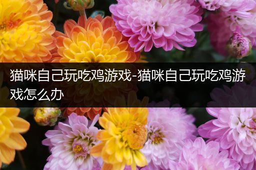 猫咪自己玩吃鸡游戏-猫咪自己玩吃鸡游戏怎么办
