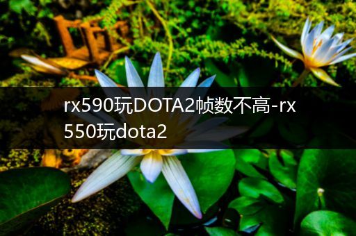 rx590玩DOTA2帧数不高-rx550玩dota2