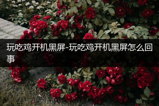 玩吃鸡开机黑屏-玩吃鸡开机黑屏怎么回事