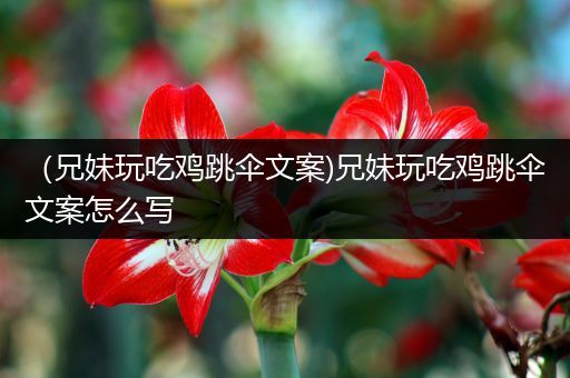 （兄妹玩吃鸡跳伞文案)兄妹玩吃鸡跳伞文案怎么写