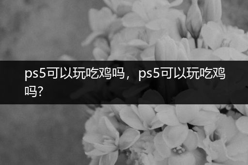 ps5可以玩吃鸡吗，ps5可以玩吃鸡吗?