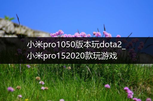 小米pro1050版本玩dota2_小米pro152020款玩游戏