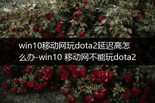 win10移动网玩dota2延迟高怎么办-win10 移动网不能玩dota2