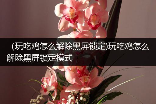 （玩吃鸡怎么解除黑屏锁定)玩吃鸡怎么解除黑屏锁定模式
