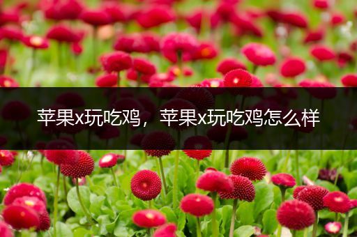 苹果x玩吃鸡，苹果x玩吃鸡怎么样