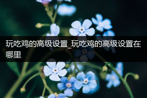 玩吃鸡的高级设置_玩吃鸡的高级设置在哪里