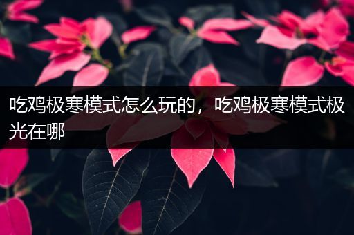 吃鸡极寒模式怎么玩的，吃鸡极寒模式极光在哪