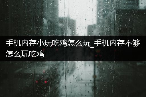 手机内存小玩吃鸡怎么玩_手机内存不够怎么玩吃鸡