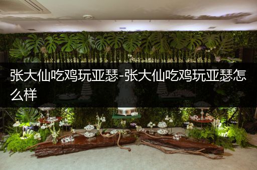 张大仙吃鸡玩亚瑟-张大仙吃鸡玩亚瑟怎么样