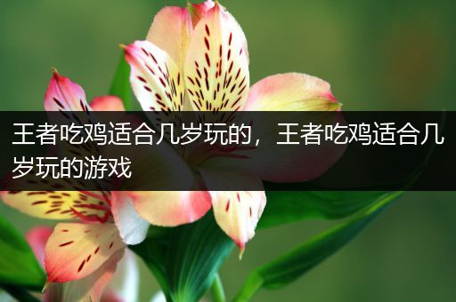 王者吃鸡适合几岁玩的，王者吃鸡适合几岁玩的游戏
