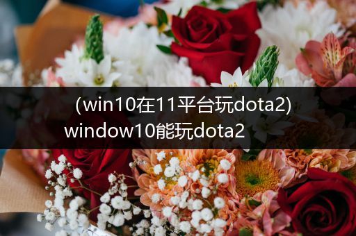 （win10在11平台玩dota2)window10能玩dota2