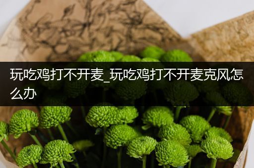 玩吃鸡打不开麦_玩吃鸡打不开麦克风怎么办