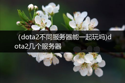 （dota2不同服务器能一起玩吗)dota2几个服务器