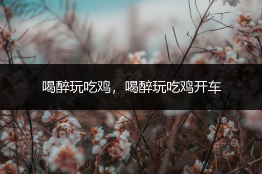 喝醉玩吃鸡，喝醉玩吃鸡开车